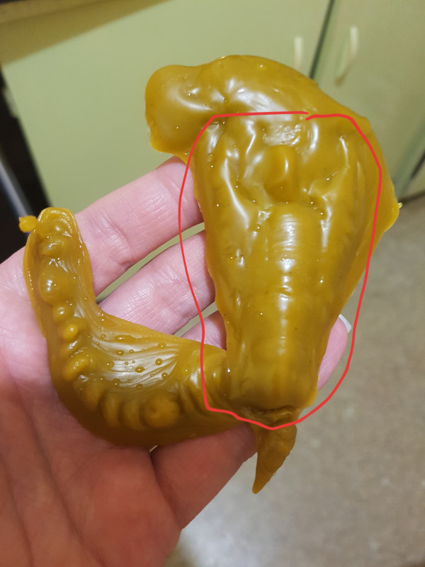 ОТЛИВКИ ВОСКОМ - 20181113_061705.jpg