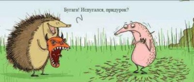 Анекдоты, и ходячие анекдоты - 123.jpg