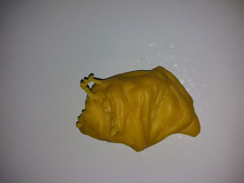 ОТЛИВКИ ВОСКОМ - 20181125_091606.jpg