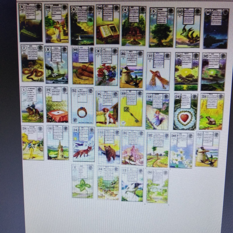 Практика БР Ленорман - 1546951730697..jpg