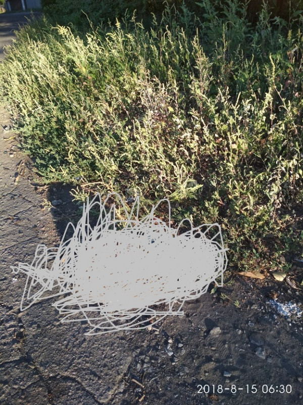 Нежданчик ответ на стр.2  - IMG_20180815_063027 - копия.jpg