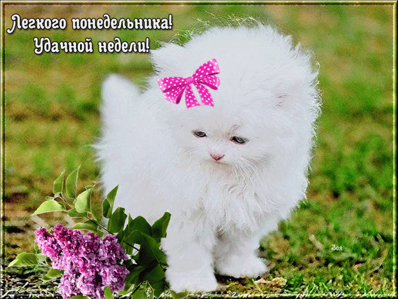Причина ухода... до 5 мая - Legkogo-ponedelnika-1024x768.gif