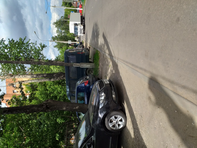 Пропала собака...посмотрите,пожалуйста,жива ли и где искать? - 20190527_150741.jpg