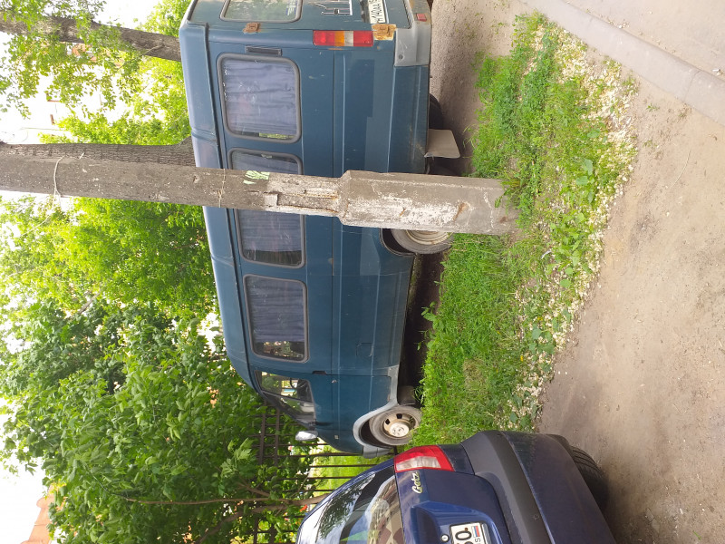Пропала собака...посмотрите,пожалуйста,жива ли и где искать? - 20190527_150751.jpg