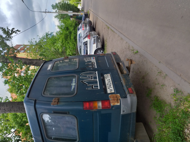Пропала собака...посмотрите,пожалуйста,жива ли и где искать? - 20190527_150802.jpg