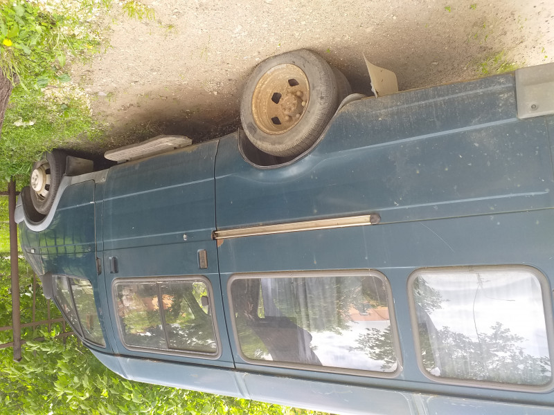 Пропала собака...посмотрите,пожалуйста,жива ли и где искать? - 20190527_150820.jpg