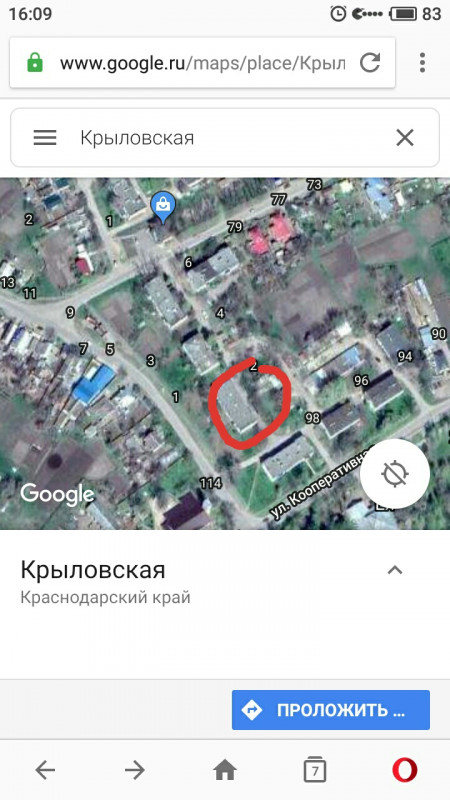 пропала кошка - S91007-160919(1).jpg