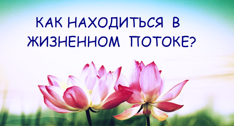 Как находиться в жизненном потоке? - лотос1.png