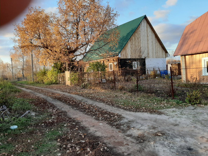 Найти кошку в деревне - 20191018_164451.jpg