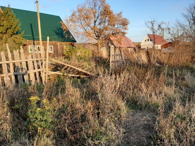 Найти кошку в деревне - 20191018_164339.jpg