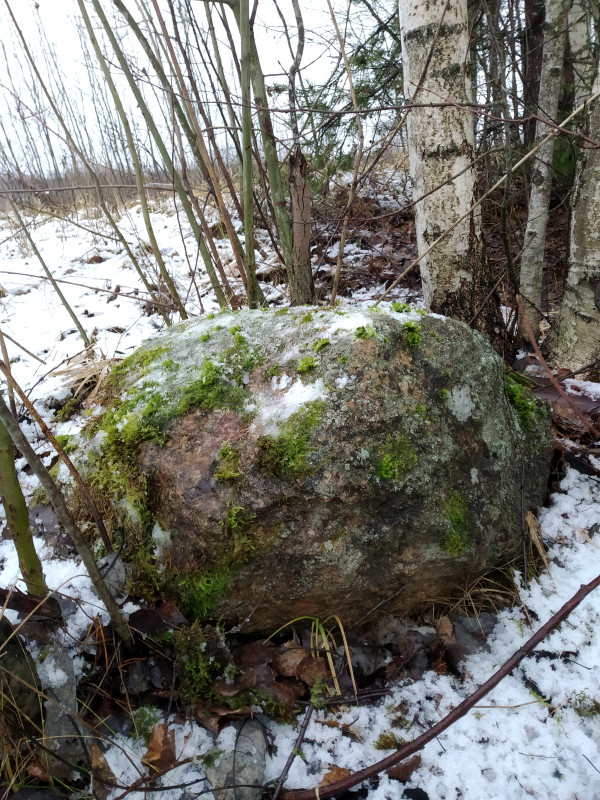 ВЕЛЕС ВОЛОС  - IMG_20191130_123432.jpg